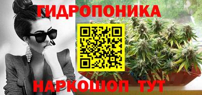 шишки Свободный